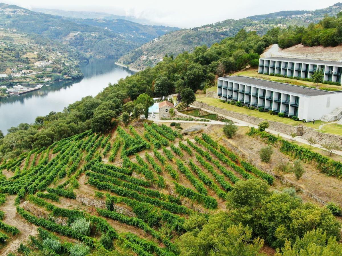 Santa Cruz do Douro Douro Palace Hotel Resort & Spa المظهر الخارجي الصورة